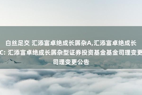 白丝足交 汇添富卓绝成长羼杂A，汇添富卓绝成长羼杂C: 汇添富卓绝成长羼杂型证券投资基金基金司理变更公告