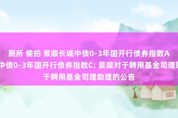 厕所 偷拍 景顺长城中债0-3年国开行债券指数A，景顺长城中债0-3年国开行债券指数C: 景顺对于聘用基金司理助理的公告