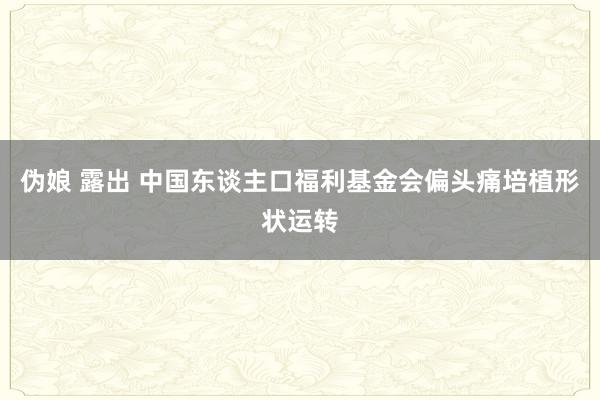 伪娘 露出 中国东谈主口福利基金会偏头痛培植形状运转