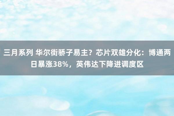 三月系列 华尔街骄子易主？芯片双雄分化：博通两日暴涨38%，英伟达下降进调度区