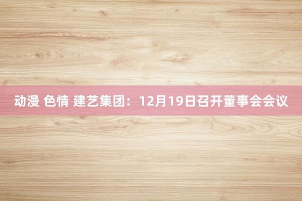 动漫 色情 建艺集团：12月19日召开董事会会议