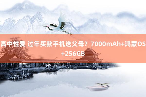 高中性爱 过年买款手机送父母？7000mAh+鸿蒙OS+256GB