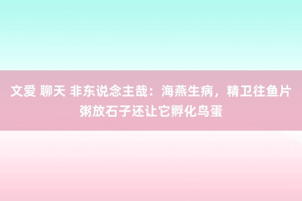 文爱 聊天 非东说念主哉：海燕生病，精卫往鱼片粥放石子还让它孵化鸟蛋