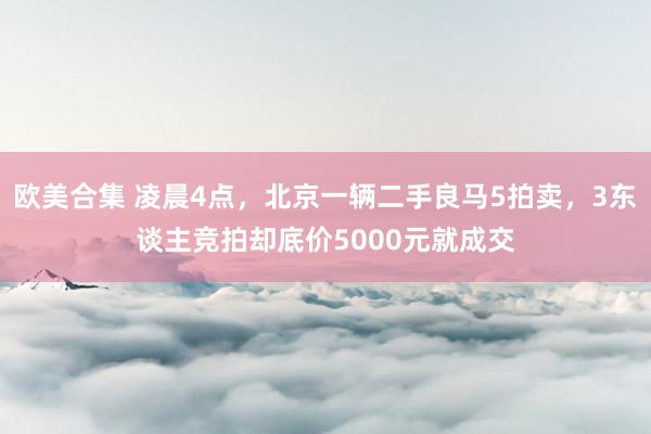 欧美合集 凌晨4点，北京一辆二手良马5拍卖，3东谈主竞拍却底价5000元就成交