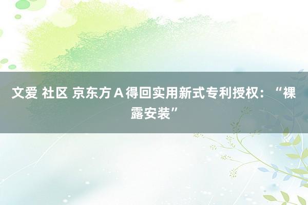 文爱 社区 京东方Ａ得回实用新式专利授权：“裸露安装”