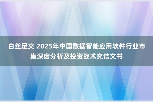 白丝足交 2025年中国数据智能应用软件行业市集深度分析及投资战术究诘文书