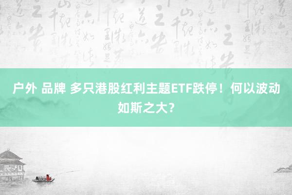 户外 品牌 多只港股红利主题ETF跌停！何以波动如斯之大？