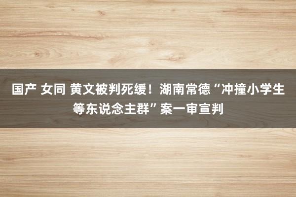 国产 女同 黄文被判死缓！湖南常德“冲撞小学生等东说念主群”案一审宣判