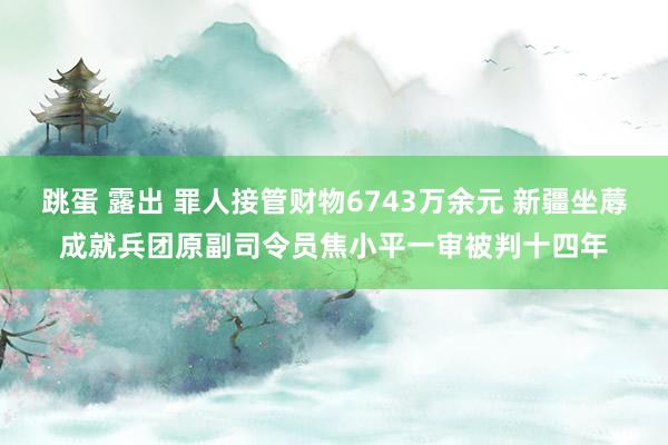 跳蛋 露出 罪人接管财物6743万余元 新疆坐蓐成就兵团原副司令员焦小平一审被判十四年