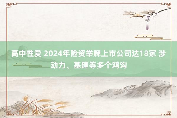 高中性爱 2024年险资举牌上市公司达18家 涉动力、基建等多个鸿沟