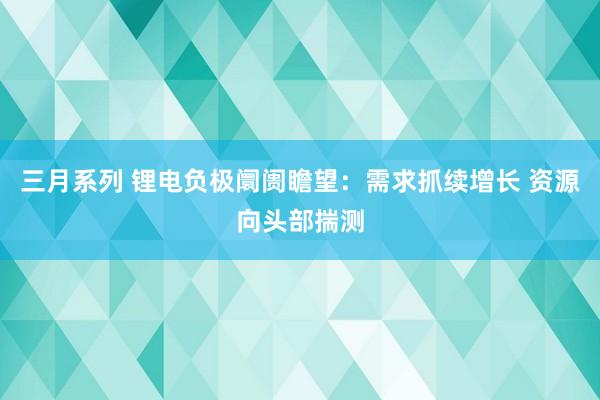 三月系列 锂电负极阛阓瞻望：需求抓续增长 资源向头部揣测