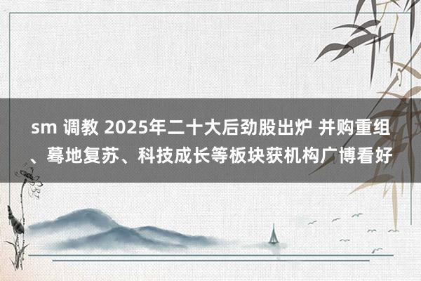 sm 调教 2025年二十大后劲股出炉 并购重组、蓦地复苏、科技成长等板块获机构广博看好