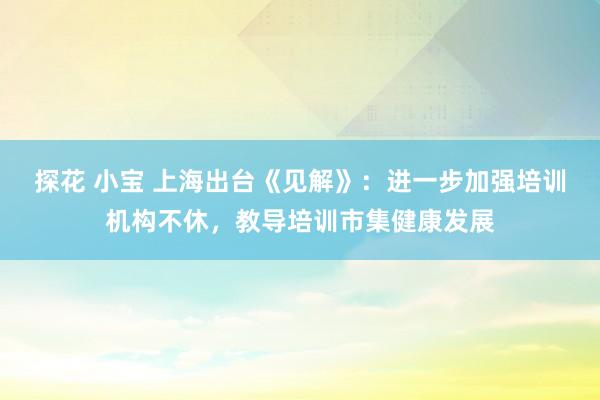 探花 小宝 上海出台《见解》：进一步加强培训机构不休，教导培训市集健康发展