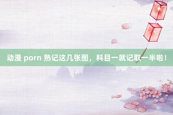 动漫 porn 熟记这几张图，科目一就记取一半啦！