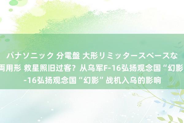 パナソニック 分電盤 大形リミッタースペースなし 露出・半埋込両用形 救星照旧过客？从乌军F-16弘扬观念国“幻影”战机入乌的影响