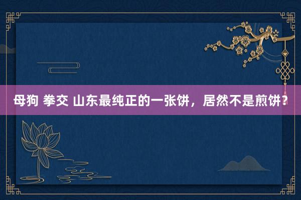 母狗 拳交 山东最纯正的一张饼，居然不是煎饼？