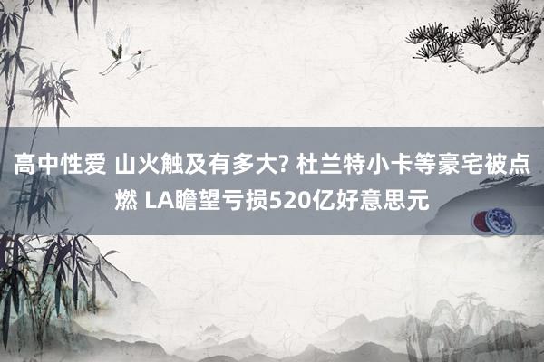 高中性爱 山火触及有多大? 杜兰特小卡等豪宅被点燃 LA瞻望亏损520亿好意思元