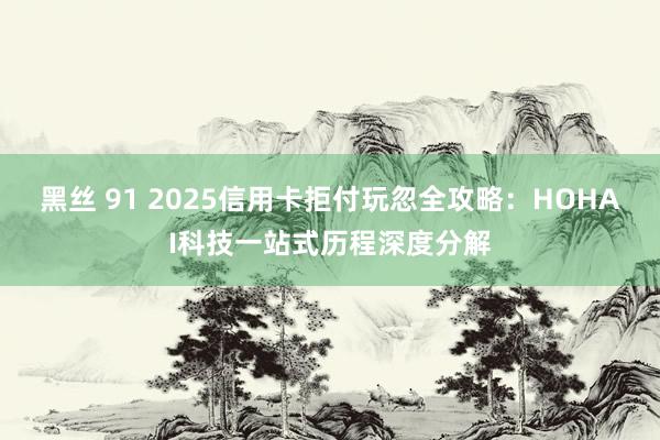 黑丝 91 2025信用卡拒付玩忽全攻略：HOHAI科技一站式历程深度分解