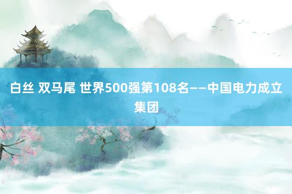 白丝 双马尾 世界500强第108名——中国电力成立集团