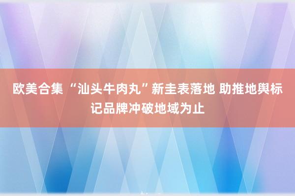 欧美合集 “汕头牛肉丸”新圭表落地 助推地舆标记品牌冲破地域为止