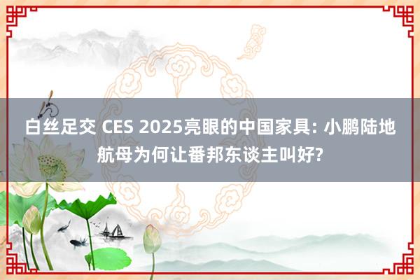 白丝足交 CES 2025亮眼的中国家具: 小鹏陆地航母为何让番邦东谈主叫好?