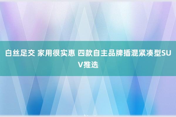 白丝足交 家用很实惠 四款自主品牌插混紧凑型SUV推选