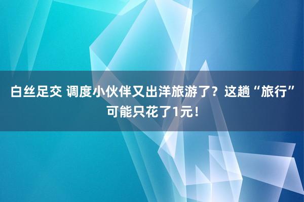 白丝足交 调度小伙伴又出洋旅游了？这趟“旅行”可能只花了1元！