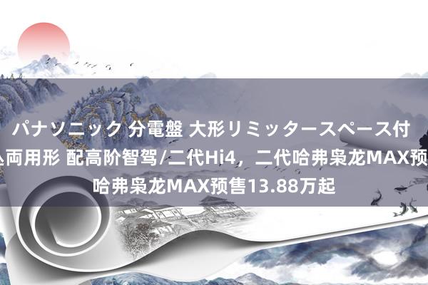 パナソニック 分電盤 大形リミッタースペース付 露出・半埋込両用形 配高阶智驾/二代Hi4，二代哈弗枭龙MAX预售13.88万起