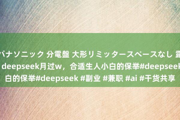 パナソニック 分電盤 大形リミッタースペースなし 露出・半埋込両用形 deepseek月过w，合适生人小白的保举#deepseek #副业 #兼职 #ai #干货共享