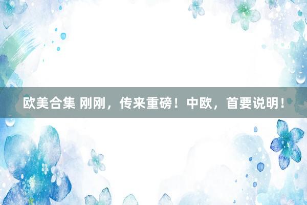 欧美合集 刚刚，传来重磅！中欧，首要说明！